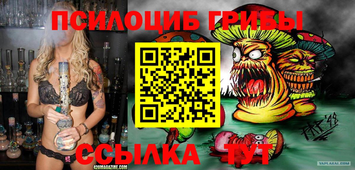 Галлюциногенные грибы прущие грибы  Галлюциногенные грибы Cubensis  Павлово  Вход с VPN 