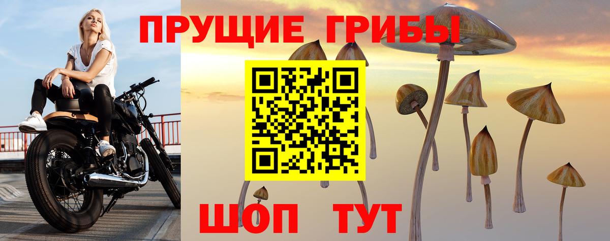 Псилоцибиновые грибы Psilocybe Павлово